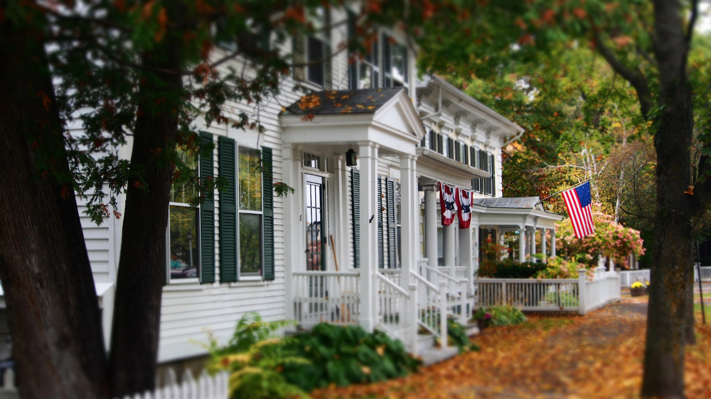 autumn leaves on a neighborhood street